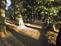 Lime-tree causeway in Mezotne park